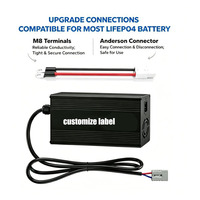 Chargeur rapide de batterie au phosphate de fer et de lithium 14.6V 30A pour batterie LiFePO4 12V 12.8V 100AH avec protection contre les surintensités et les surtensions