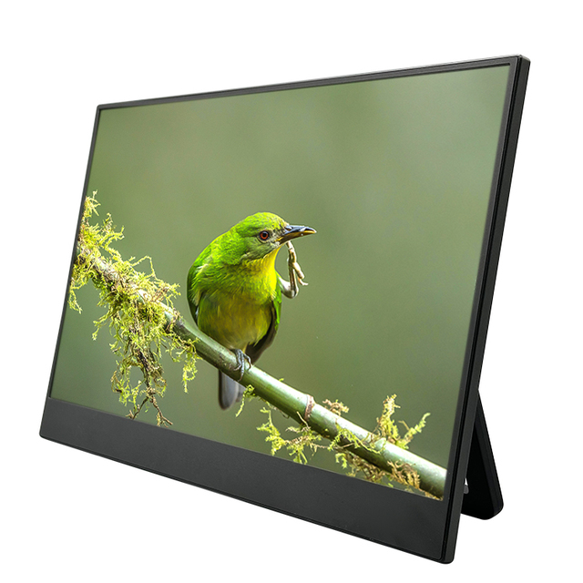 15.6 Inch 1080P IPS Panel LED Backlit 8ms Response Time 60Hz Portable Gaming Monitor HDR Built-in Speaker USB Type C