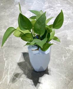 New Design 3D Silicone DIY Vas/Flowerpot Planter Flower Pot - Product Image 2