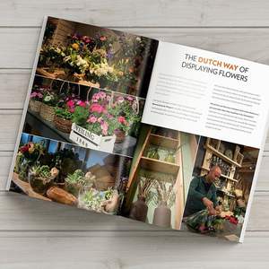 Impresión de Cómics Personalizados a Todo Color de Alta Calidad/<span class=keywords><strong>Manga</strong></span>/Anime/Cómics para Adultos/Impresión Offset de Libros de Tapa Blanda - Product Image 5