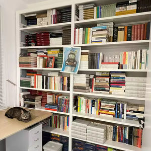 نظام رفوف فولاذية قابل للتعديل بخمس طبقات للجراج مع طلاء مسحوق، تصميم قابل للطي، أرفف تخزين متينة، رفوف ميزانين - Product Image 4