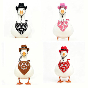 Western Cowboy Hat With Triangular Bandana For Duck Pet Costume Decorative Accessory Zhejiang Origin - Product Image 2