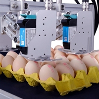 Impresora de Huevos Más Vendida, Docod T600, 6 Cabezales, Impresora Industrial de Inyección de Tinta Térmica en Línea para Impresión de Número de Lote en Huevos