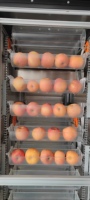 Jus naturel entièrement automatique faisant la machine Distributeur automatique de jus d'orange fraîchement pressé avec système de refroidissement
