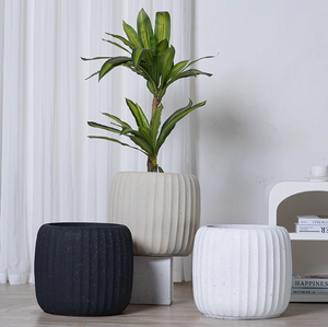 Calabaza enana, rayas verticales redondas, árbol de limón, hoja de Piano, Banyan, sala de estar, casa de familia, luz, olla de arcilla de magnesio de lujo - Product Image 3