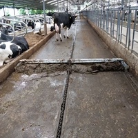 Système de raclage du limon, récupération et traitement des excréments, racleur automatique du limon de vache