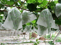 Vente en gros de tissu non tissé personnalisé 100% PP non tissé tissu spunbond non tissé prix bon marché emballage de drap de lit tissu non tissé