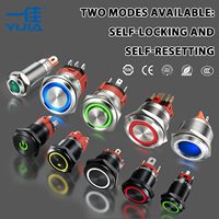 YIJIA Interruptor de botón pulsador metálico de 12/16/19/22mm con logotipo personalizado, momentáneo/enganchable, con símbolo LED DIY, cabeza plana, para modificación de coches y uso marino