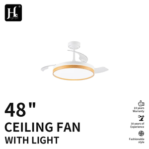 Modern ceiling fan <b>chandelier</b> 48-inch invisible telescopic fan with <b>light</b> and remote control ventilation system - Product Image 2
