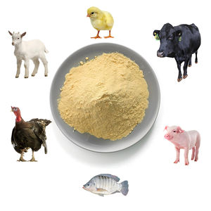 Alimento para animales de ganado con levadura para el futuro: Liberando el potencial con Nuestra levadura seca de mejora de alimentación Premium - Product Image 2