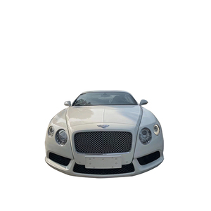 Manufacturer Supplier Cheap Price Universal Car Front Middle Mesh Grille Gate Suitable for Continental - Product Image 3