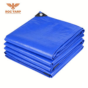 Bâche en PE sur mesure, haute résistance, anti-UV, respirante, résistante aux déchirures et à l'eau, pour l'agriculture et l'industrie (vente en gros) - Product Image 1