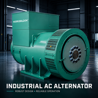 Régulation de tension AVR 400 kVA 320 kW Alternateur AC industriel triphasé 50 Hz style Stanford