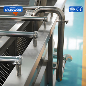 Máquina de Lavado de Burbujas Comercial para Patatas, Zanahorias, Cebollas y Hortalizas de Raíz, y Equipo de Lavado por Burbujas Personalizable - Product Image 5