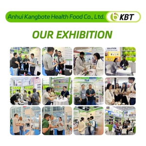 תוסף צמחי טבעי מאושר GMP, ייצור לפי הזמנה, קפסולות טבעוניות של בוסווליה סראטה בעוצמה נוספת, בהתאמה אישית - Product Image 5