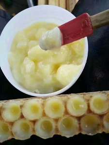 Muestra Gratuita de BEESTAR, Miel de Jalea Real 10-HDA 1.6% Pura y Natural, Orgánica para Reforzar el Sistema Inmunológico, Alimentos y Bebidas Congelados de Alta Calidad - Product Image 4