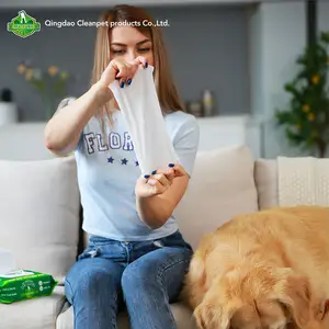 Custom Anti bacterial Organic Disposable Pet Wipe Grooming Pet Ear Eye Tooth Body Foot Cleaning Wet Wipes For Private Label