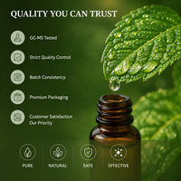 Huile Essentielle de Menthe Verte 100% Pure, Naturelle et Biologique de Qualité Cosmétique pour Soins de la Peau, Huiles Capillaires pour la Croissance et le Soin du Visage (Marque Blanche)