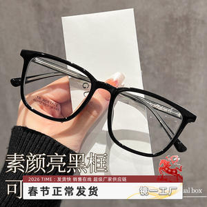 Montures de lunettes Danyang 86012, rectangulaires, monture intégrale, pour femmes, anti-lumière bleue, verres PC, TR90 léger - Product Image 3