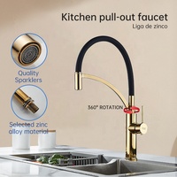 Robinet de cuisine extractible en titane doré avec tuyau courbé en silicone noir, rotation à 360°, mitigeur chaud/froid pour cuisine domestique