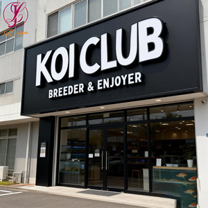 ป้าย3D หน้าร้านป้ายไฟ LED กลางแจ้งป้ายตัวอักษรเรืองแสงป้ายโลโก้ที่กำหนดเองสัญลักษณ์ LED ธุรกิจสำหรับ <span class=keywords><strong>clud</strong></span> & Bar SUPPLY - Product Image 1