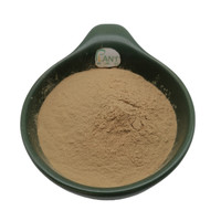 Extrait de menthe pure naturelle de haute qualité, extrait de menthe poivrée, ingrédient en vrac pour compléments alimentaires, poudre d'extrait de feuille de menthe poivrée 10:1
