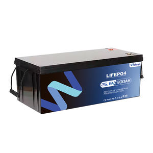 2025新着<span class=keywords><strong>24V</strong></span> 300Ah LiFePO4バッテリーパック200A BMS 25.6V 300ahリチウムイオンソーラーエネルギーバッテリーRVマリン - Product Image 1