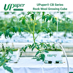 UPuper <span class=keywords><strong>CB</strong></span> Cubos de Lana de Roca de 3*3 Pulgadas para Cultivo Hidropónico/Vertical sin Tierra, Sustrato para Plántulas - Product Image 3