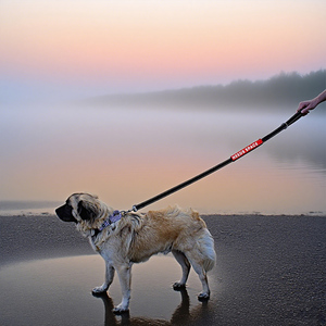 Sarung tali anjing Neoprene tahan lama, pelindung silikon tahan air sesuai tali standar 1 inci - Product Image 2