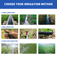 Pompes à eau diesel pour l'irrigation de 3 pouces, ensemble de pompes à eau diesel, prix, pompe à eau diesel pour moteur diesel d'irrigation