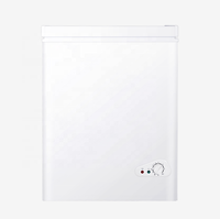 Petite capacité Mini 60L Commercial Portable Congelador haut ouvert porte unique coffre congélateur horizontal pour la maison en plein air