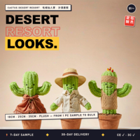 Vêtements en peluche personnalisés en forme de cactus, tenue de vacances dans le désert pour jouet en peluche en forme de plante, vêtements en tissu personnalisés