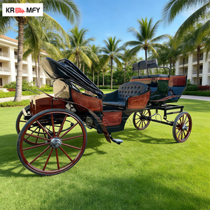 Carruaje de Caballos con Luces LED en Venta, Carruaje para Bodas y Navidad, Carroza de Lujo para Exteriores - Product Image 2