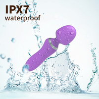 Mini AV-Stabvibrator aus der Fabrik, körpersicherer Silikon-Vibrator, kleiner, leistungsstarker Handvibrator, USB-aufladbar, wasserdicht, leiser Massager für Frauen