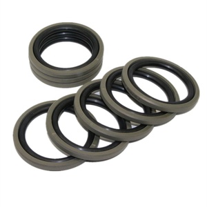 ชุดซีลกระบอกสูบบูม/แขน/บุ้งกี๋ รุ่น SK150-3 SK150-5 หมายเลขอะไหล่ 2438U946R300 น้ำมันไฮดรอลิกสำหรับรถขุด หมายเลขอะไหล่ 2438U948R500 ชุดไฮดรอลิก หมายเลขอะไหล่ 2438U949R500 - Product Image 4