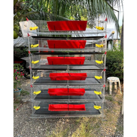 Cage d'élevage de cailles portable à 6 niveaux avec bac à fumier et mangeoire, enclos d'élevage de cailles pour une gestion efficace de l'élevage
