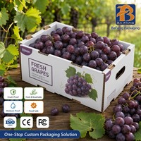 Umweltfreundliche Obstboxen aus recycelbaren Materialien, leicht und ideal für die Verpackung von Äpfeln, Orangen und Beeren.