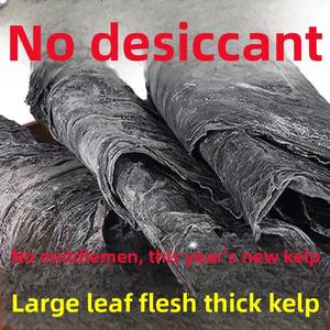 Fujian Xiapu عشب البحر سميكة للغاية ورقة عشب البحر السلع المجففة المتخصصة للاستخدام التجاري عشب البحر بالجملة بالجملة - Product Image 4