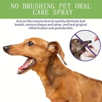 Spray de nettoyage des dents naturel de marque privée personnalisé en usine dissolvant d'odeurs pour chats et chiens taches tartre haleine fraîche nettoyage de la bouche spray de soins dentaires