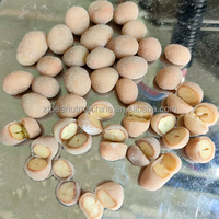 Mesin Pelapis Otomatis Komersial Kapasitas Tinggi untuk Kacang Tanah/Kacang Mete Kelapa/Kacang Kedelai dengan Campuran Sirup dan Tepung