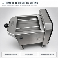 Elektrische roestvrijstalen bananenchips-snijmachine, plantain-, aardappel- en uien snijmachine, commerciële snijmachine, fabriek, groothandel
