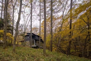 Grande maison moderne en <span class=keywords><strong>bois</strong></span> avec un extérieur noir, nature intégrée et forêt tranquille, résidence préfabriquée isolée simple - Product Image 2