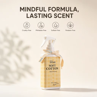 Fabricant de parfums d'intérieur WELLNESS, vaporisateur d'ambiance et brume parfumée naturelle personnalisée, vaporisateur d'ambiance de luxe à étiquette privée