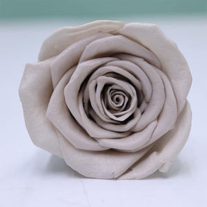 Pre-5 Grade Forever Eternal Préservé Roses 5-6cm Déco Fleurs pour Noël et Saint Valentin Décoration et Cadeau - Product Image 5