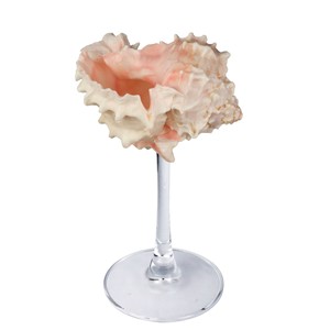 Verre à <span class=keywords><strong>martini</strong></span> et à vin en coquille de conque fait main, style minimaliste sur pied haut, artisanat de plage, cadeau - Product Image 5
