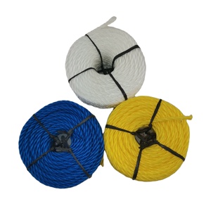 ผู้ค้าส่งเชือกโพลีโพรพิลีน PP 3/4 เส้น ขนาด 10 มม. เชือก HDPE เชือกพลาสติกถัก PE เชือกตกปลา เชือก PP ไนลอน เชือกสำหรับบรรจุภัณฑ์ - Product Image 3