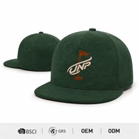 Casquette Snapback en Suède Personnalisée avec Logo, Broderie 3D, Visière Plate, Casquette de Baseball Beige de Luxe, Style Streetwear pour Marques, Vente en Gros
