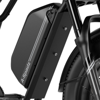 DOMLIN Best Verkochte Modellen in Nederland Ebike Fat Tire City Elektrische Hybride Fiets