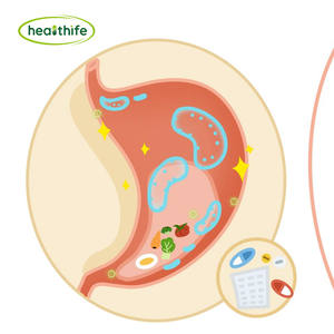 FocusHerb天然植物エキスDioscoreae Nipponicae Rhizomaパウダー20:1 <span class=keywords><strong>Dioscorea</strong></span> <span class=keywords><strong>Nipponica</strong></span>根エキス - Product Image 2