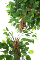 Arbres artificiels pour l'aménagement paysager intérieur, décoration verte, faux ficus albi avec troncs naturels
